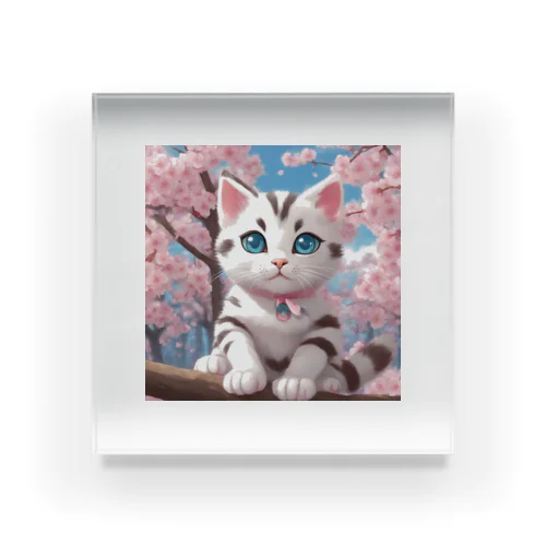 春と桜と虎縞白猫 Acrylic Block
