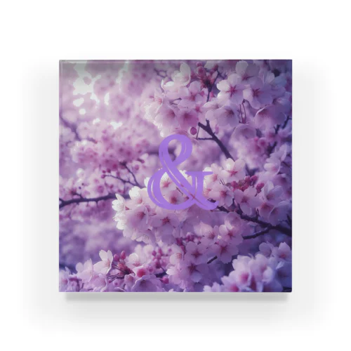 桜 Acrylic Block