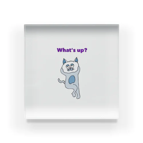 What's up? Acrylic Block