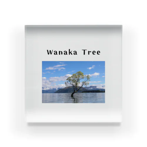 Wanaka Tree〜自然の宝石箱:ニュージランドより〜 アクリルブロック