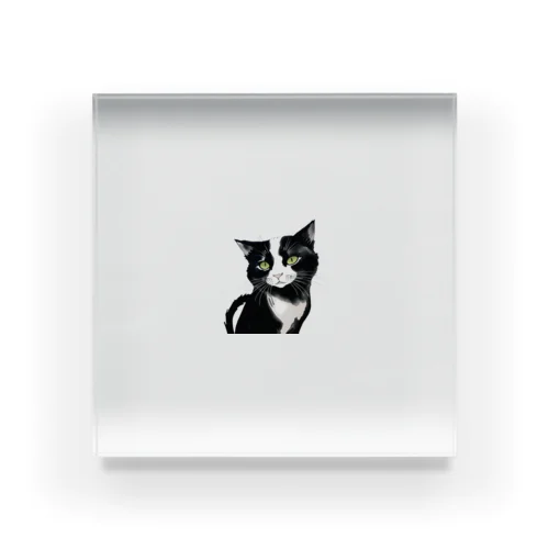 インクCAT Acrylic Block