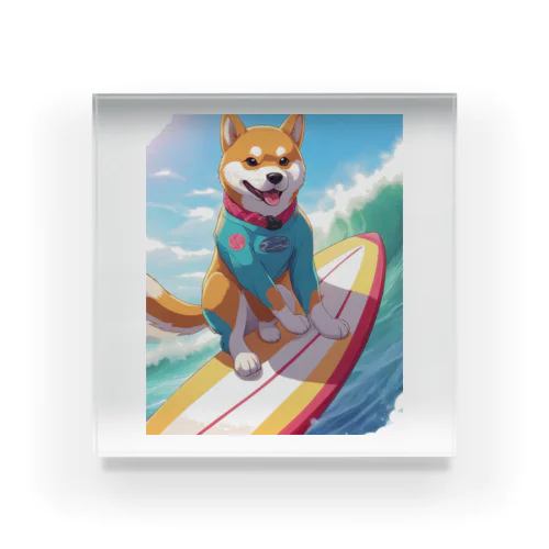 サーフィンする柴犬 Acrylic Block