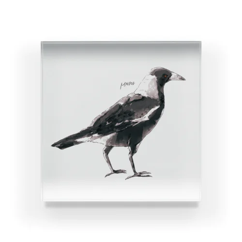 MAGPIE Acrylic Block