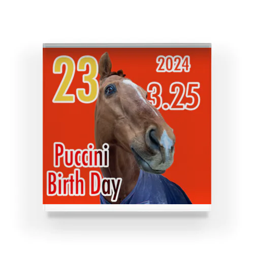 プッチお誕生日グッズ2024 Acrylic Block