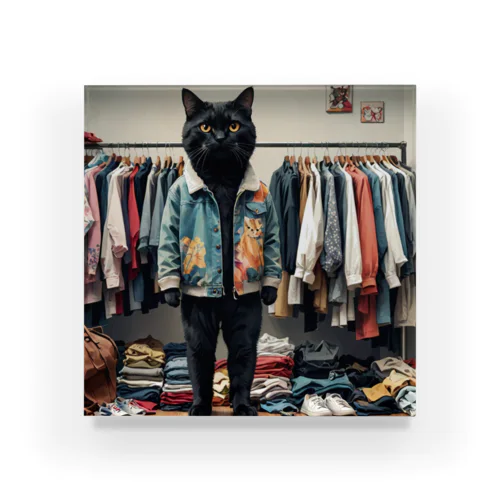服を選んでいる猫 アクリルブロック
