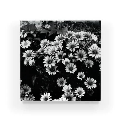 MonoFlower001S Acrylic Block