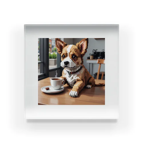 coffee dog アクリルブロック