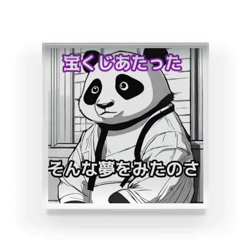 宝くじが当たった夢をみたパンダ🐼 Acrylic Block