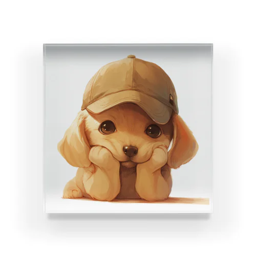 キャプをかぶった可愛い子犬 Marsa 106 Acrylic Block