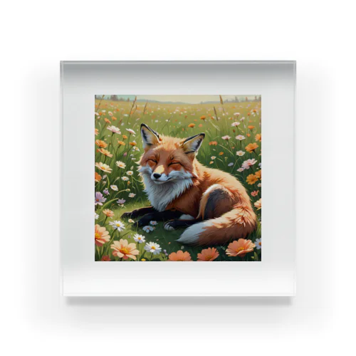 sleep　fox Acrylic Block