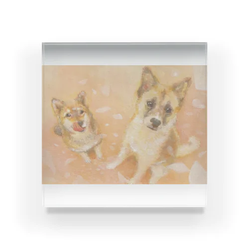 桜を見上げる犬 Acrylic Block