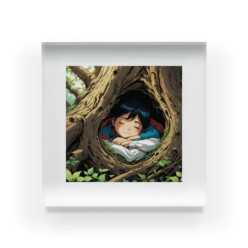 樹洞で眠る少年 アクリルブロック