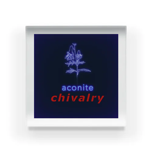 chivalry Acrylic Block