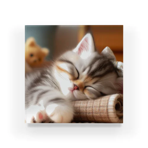 眠るにゃんこ😺zzz Acrylic Block