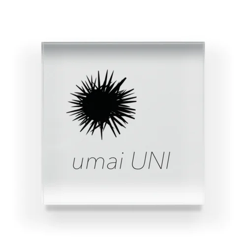 umaiUNI Acrylic Block