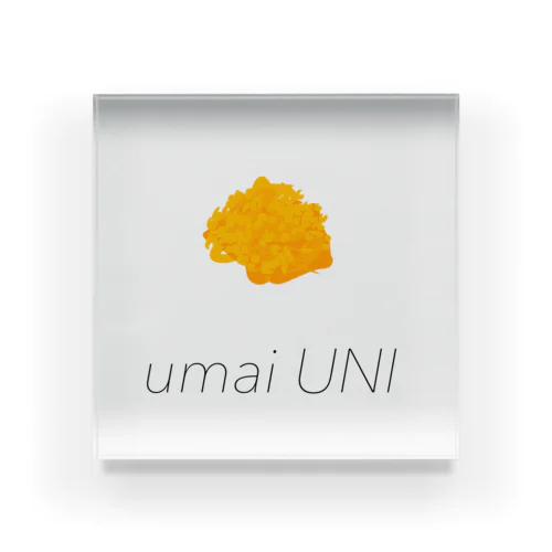 umai UNIオレンジ アクリルブロック