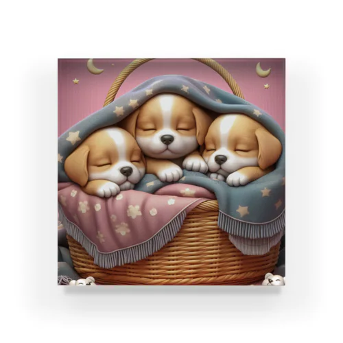 第②弾！ほっこり♡ ふわふわ子犬 Acrylic Block