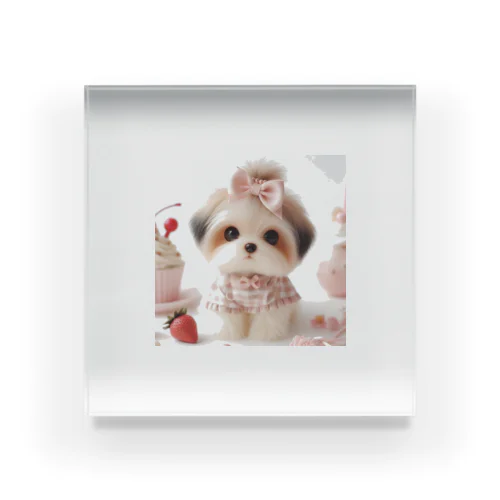 かわいい子犬 Acrylic Block