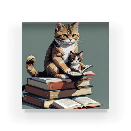 本を読む猫 アクリルブロック