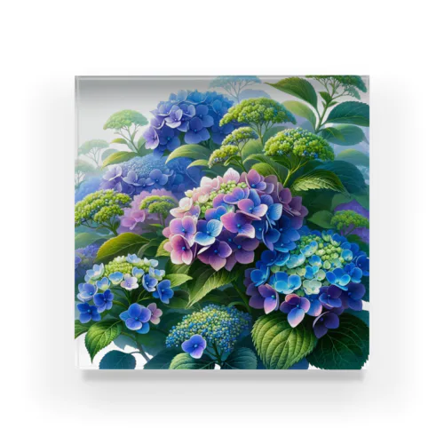 紫陽花の饗宴 Acrylic Block