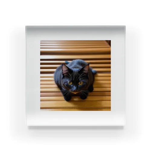 黒猫の可愛いグッツ Acrylic Block