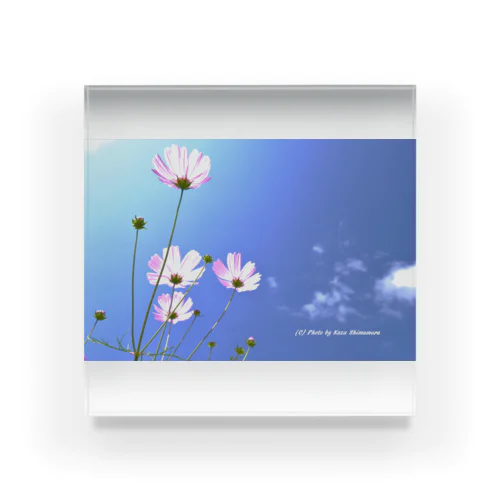 Kazuphotography Acrylic Block