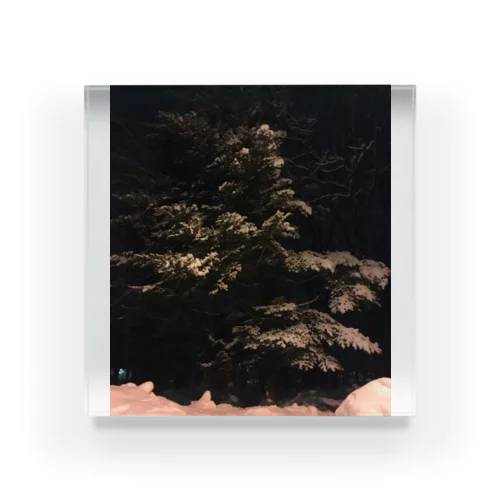 冬の夜の木 アクリルブロック