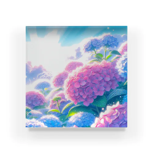 朝日に輝く紫陽花 Acrylic Block