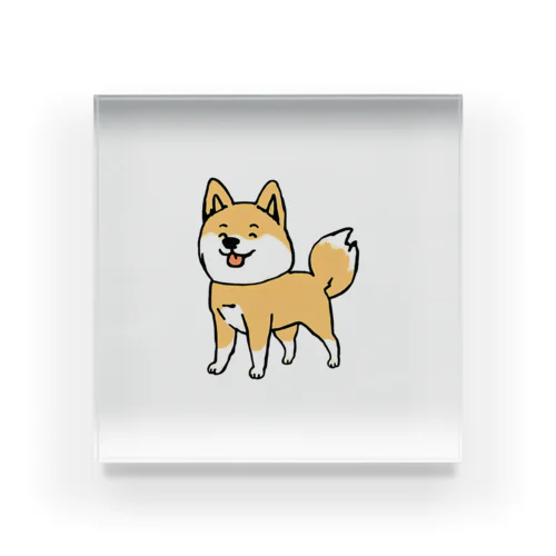 柴犬の「しば」 Acrylic Block