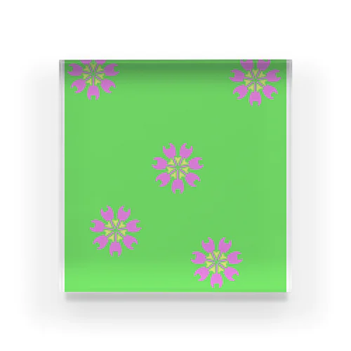 JUNSEN（純仙）平成桜６ Acrylic Block