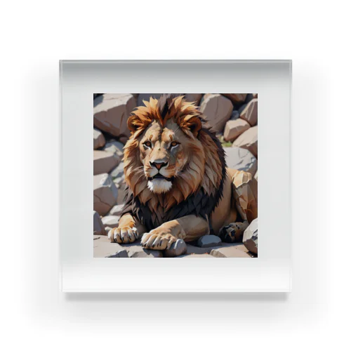岩場に座るライオンの様子。 Acrylic Block