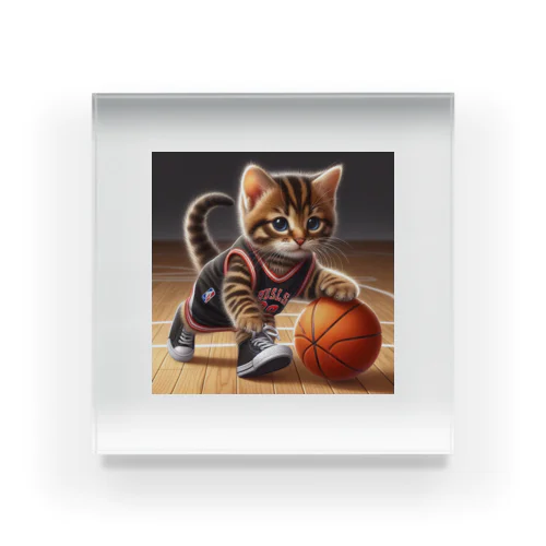 猫、バスケ好き アクリルブロック