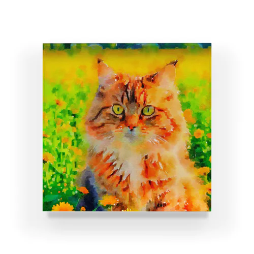 猫の水彩画/花畑のサイベリアンねこのイラスト/キジトラネコ アクリルブロック