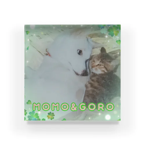 MOMO&GORO Acrylic Block