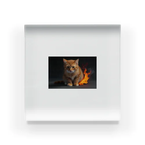 炎の守護者「炎タイプの猫」 Acrylic Block