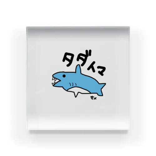 手描き　サメ　タダイマ Acrylic Block