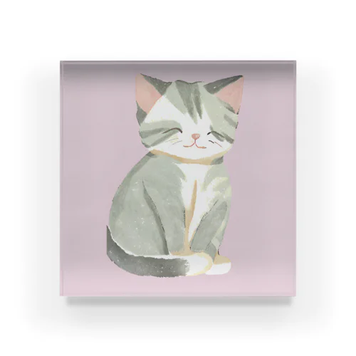 子猫のこめちゃん Acrylic Block