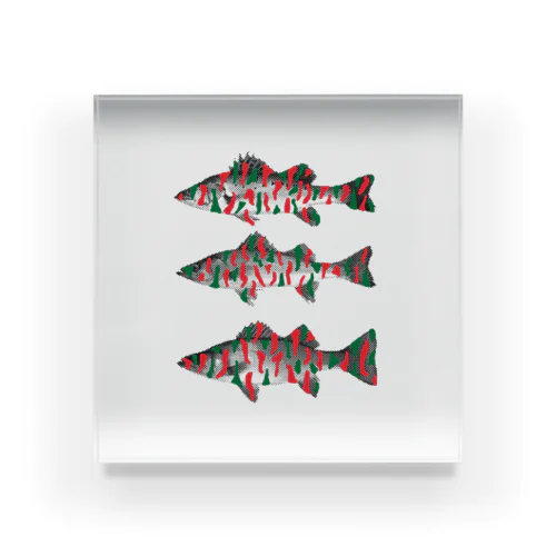 atcq seabass Acrylic Block