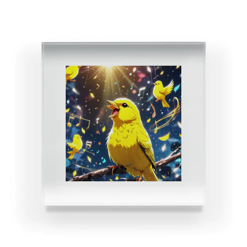 オーケストラ演奏インコ Acrylic Block