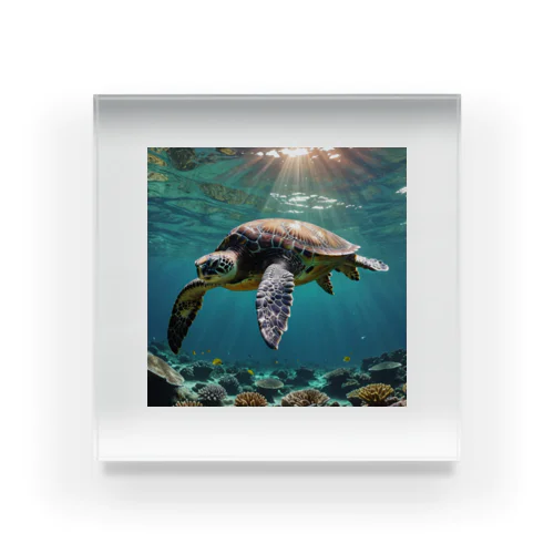Sea Turtle Acrylic Block