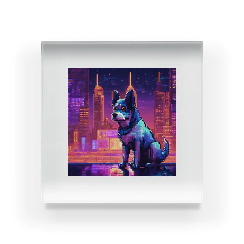 night dog Acrylic Block