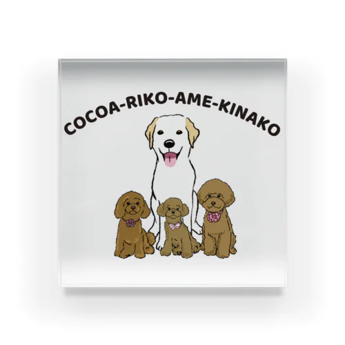 covaco.cocoaさんち＃3 アクリルブロック