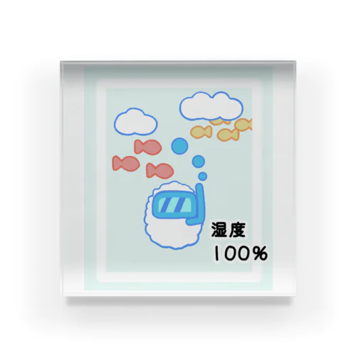 湿度100％ アクリルブロック