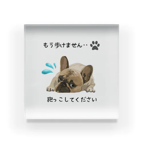 抱っこしてほしい犬 アクリルブロック