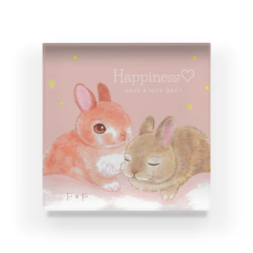 Have a nice day！ Acrylic Block