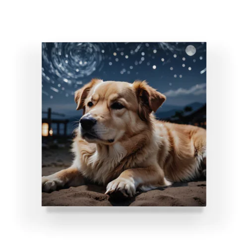 夜の静寂に包まれた写真には、一匹の夜行性の犬が佇んでいます。 Acrylic Block