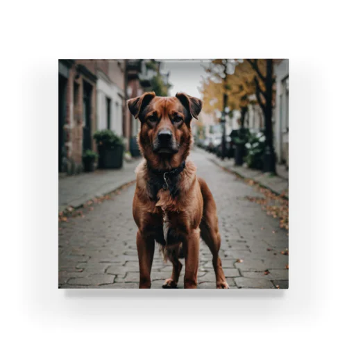 強くて独立心旺盛な犬を写した素敵な写真🐕✨ アクリルブロック