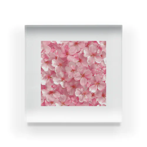 ピンクの花綺麗 Acrylic Block