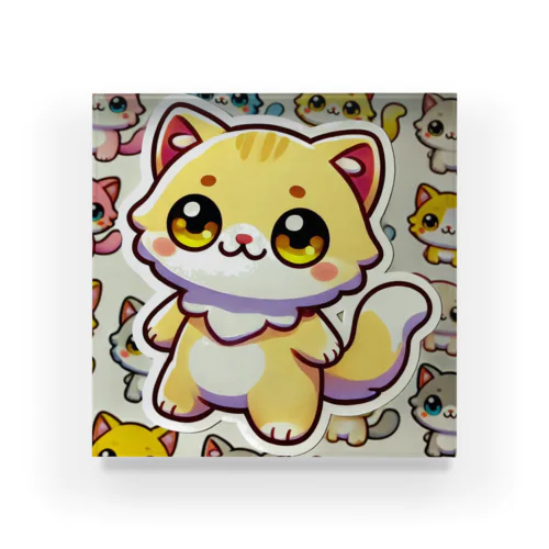 ふんわりとした薄い金色の猫が、愛らしさ満点🌟 Acrylic Block