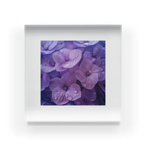 雨に濡れる　紫陽花 Acrylic Block